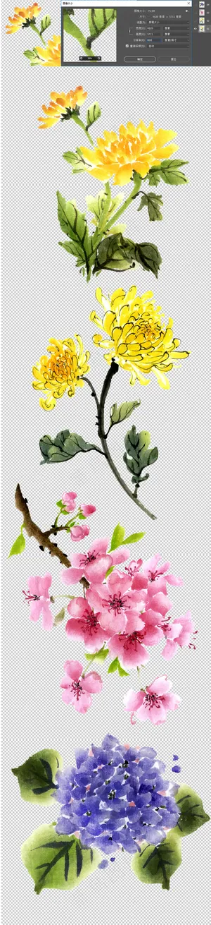 中国风手绘水彩菊花图片花朵免扣素材