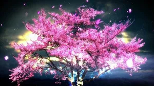 夜色樱花