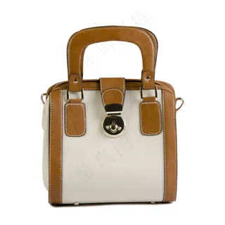 时尚女式手提包