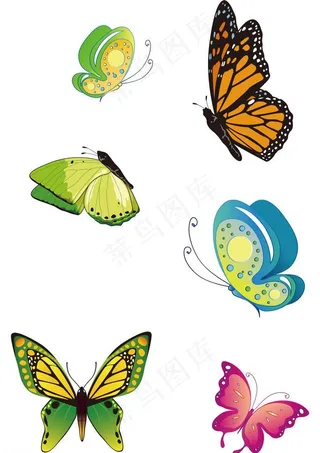 蝴蝶素材图片