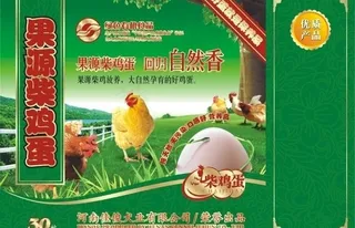 果园柴鸡蛋图片