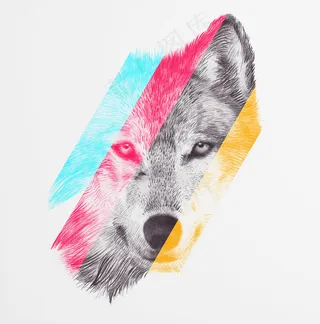 T恤图案动物插画