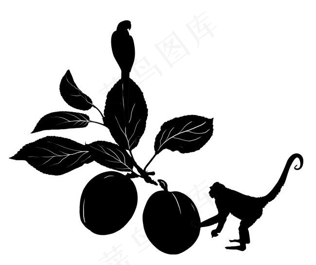 梅子创意插画酒品设计