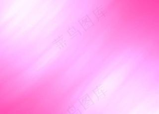 婚礼视频素材图片