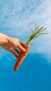 蓝天白云下手拿红萝卜高清摄影图片