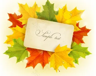 秋天的树叶背景图片