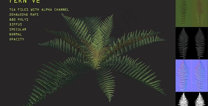 Fern Pack V2 蕨类，高...