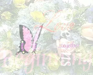 唯美求婚动态背景视频