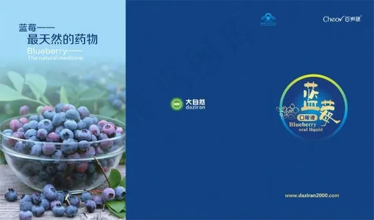 蓝莓三折页