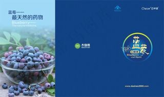蓝莓三折页