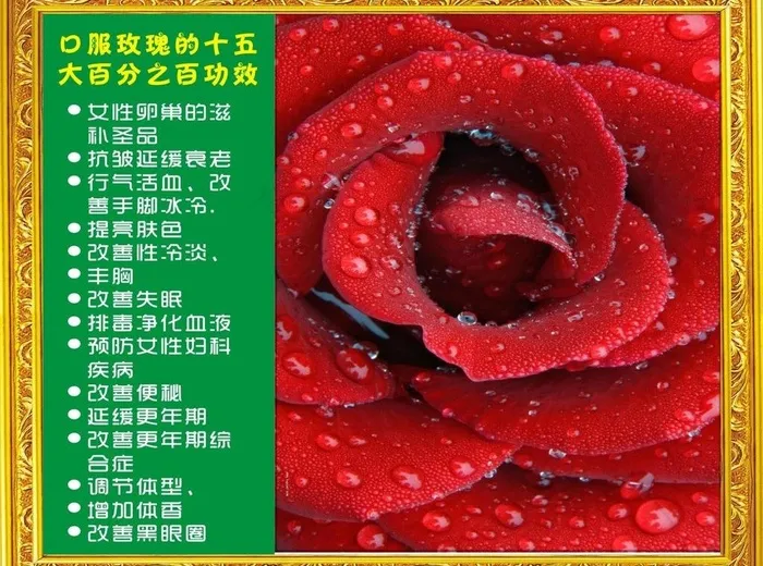 玫瑰相框图片