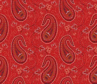 无缝佩斯利印度矢量装饰