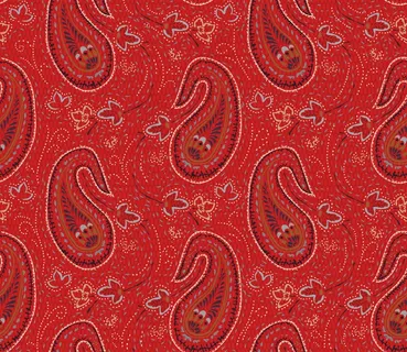 无缝佩斯利印度矢量装饰 无缝佩斯利印度矢量装饰