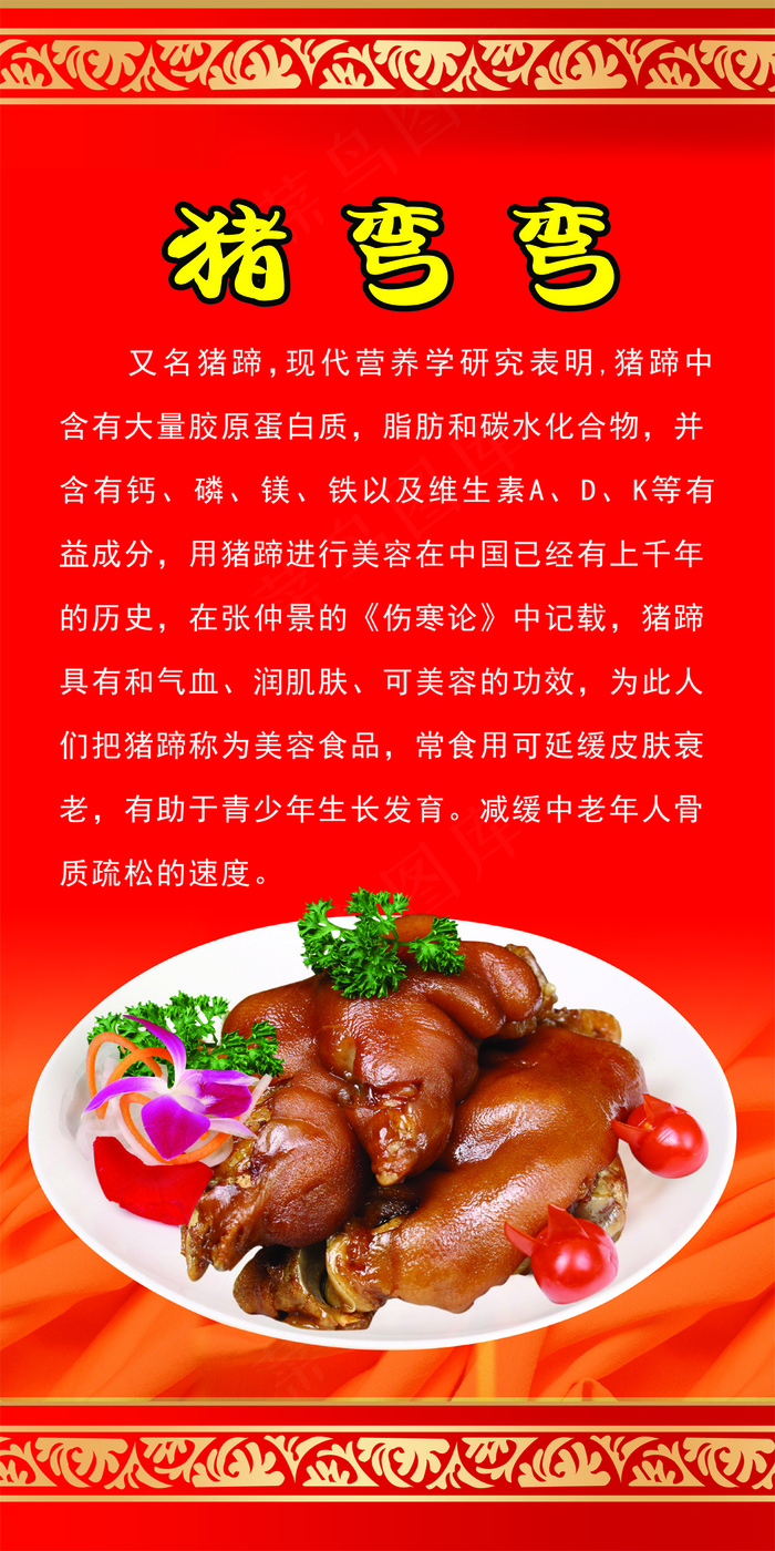 猪弯弯简介psd模版下载