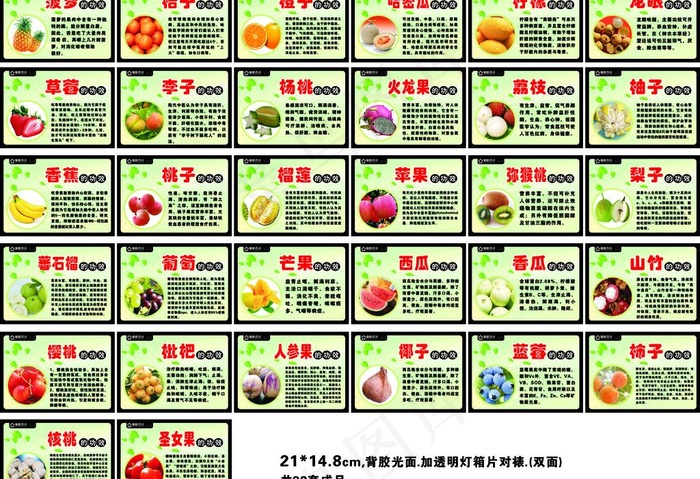 水果 水果的功效图片cdr矢量模版下载