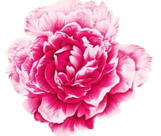 高清晰D花纹背景素材030