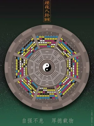 莲花八卦图图片