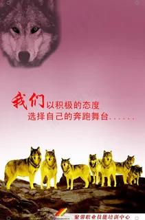 狼文化图片 狼文化图片
