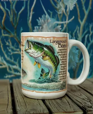 美国探险杯子鱼类图案图片