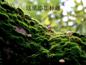 应怜屐齿印苍苔绿色护眼PPT(8...