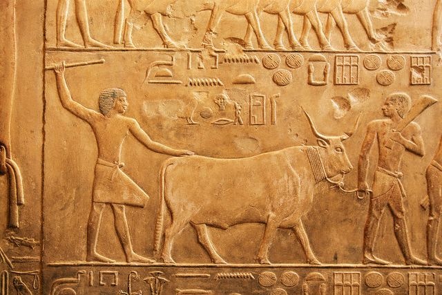 室内建筑模型图