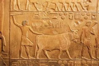 室内建筑模型图