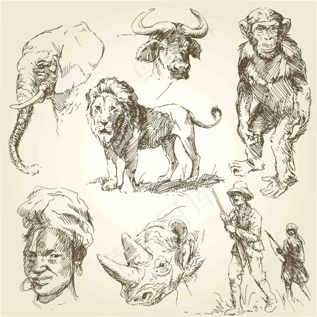 手绘动物野生动物手绘素描美术绘画eps,ai矢量模版下载