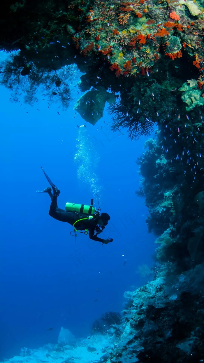 海底下的潜水员高清摄影图片
