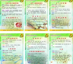 家庭科普版面图片