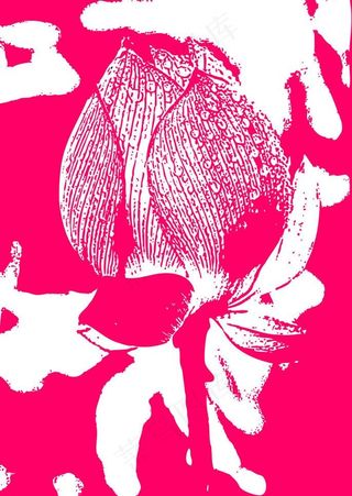 荷花矢量素材图片