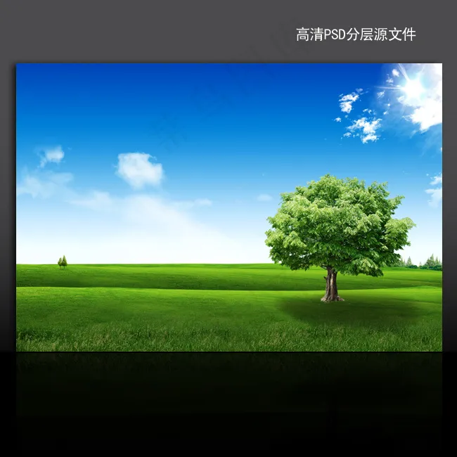 绿色环保学校教育海报背景设计