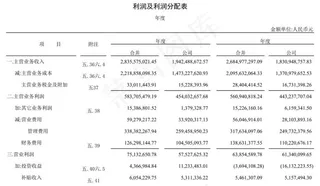 利润及利润分配表2