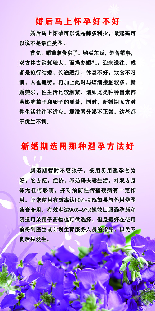计划生育宣传易拉宝
