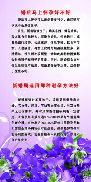 计划生育宣传易拉宝