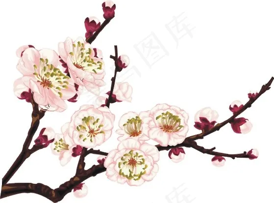 梅花矢量素材ai矢量模版下载