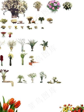 室内花摆设图片