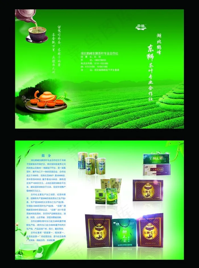 茶叶宣传单图片(4134X5906(DPI:300))psd模版下载