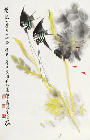 神仙鱼图片