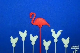 在鸡群中的火烈鸟