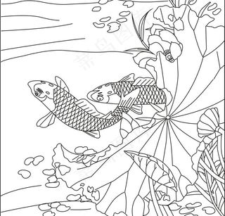 鲤鱼 荷花 图图片