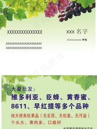 葡萄名片图片