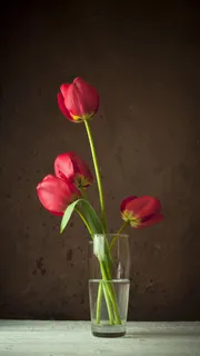 玻璃杯装着四朵花高清摄影图片