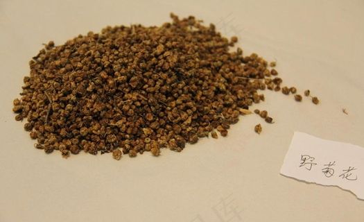 中药饮片野菊花图片