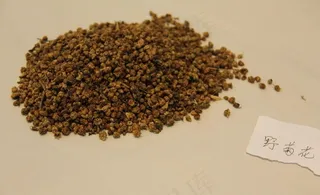 中药饮片野菊花图片