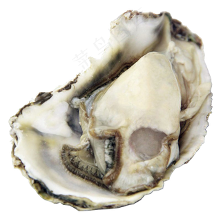 实物生蚝海鲜烧烤png图片素材