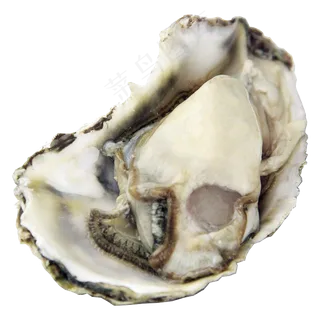 实物生蚝海鲜烧烤png图片素材