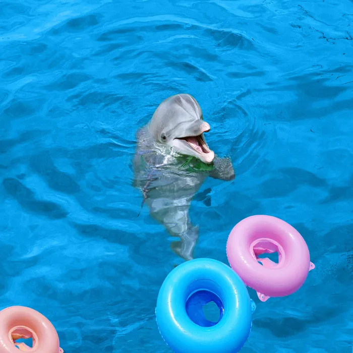 浴室洗手间大海海豚3D地板(9638X9638(DPI:72))psd模版下载