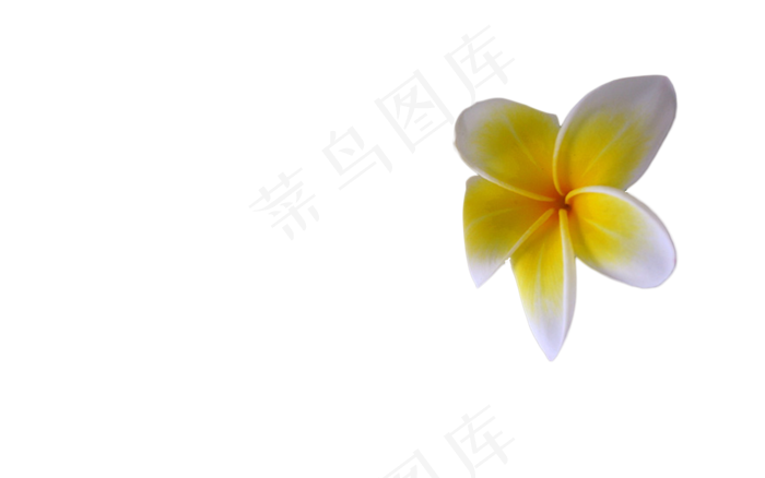 免扣花