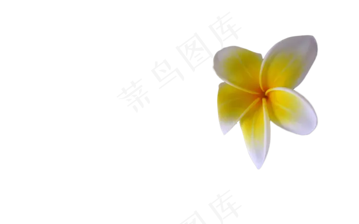 免扣花