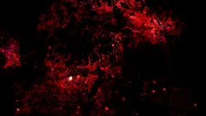 粒子的运动背景下岩石的纹理